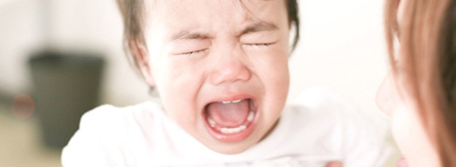 Comportamentos de birra